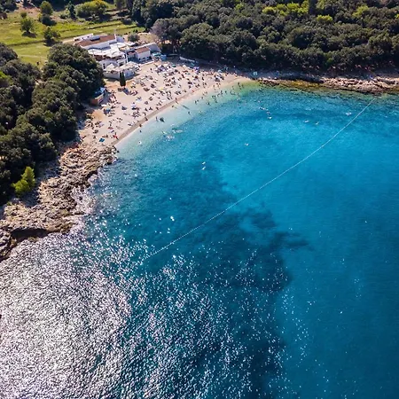 Cozy Sejdi With Private Pool In Villa