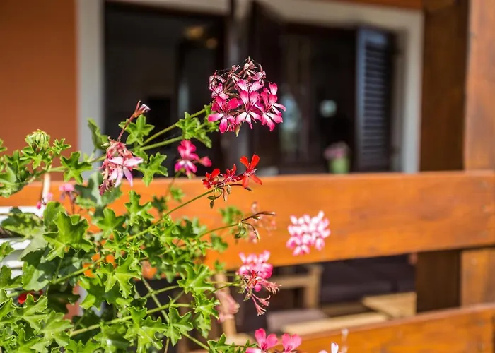 וילה Cozy Sejdi With Private Pool In By Wiibuk