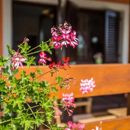 Villa Cozy Sejdi With Private Pool In By Wiibuk